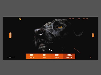 Dog Shelter Website Landing Page Design & Development