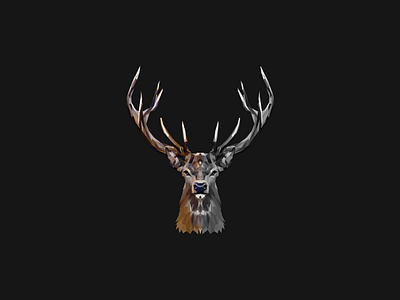 Deer antler buck deer