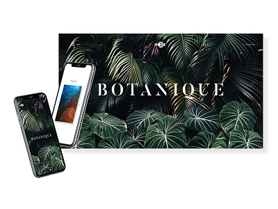 Le MOBE / Botanique design minimal typography ui uidesign ux uxdesign web webdesign website