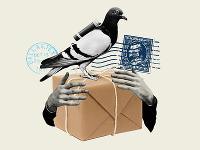 package carrier pigeon collage