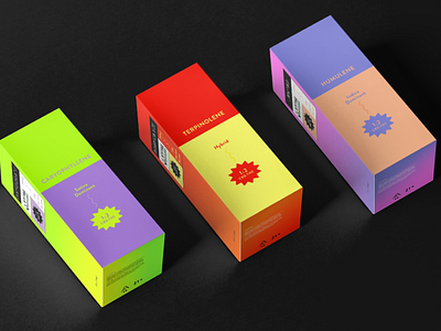 Neon Box Package Design