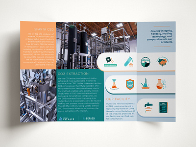 brochure layout design