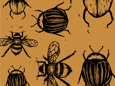 Bugs | Illustration art graphic design illustration illustrator cc