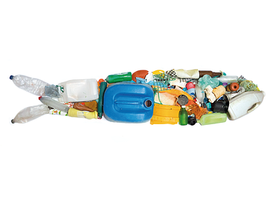 Sardine beach competion composition contest enviroment fish garbache photography plastic plastic bag plastic bottle sardine sea trash