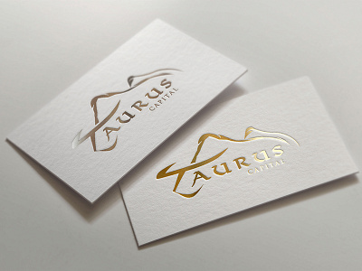 Logo for Taurus Capital (Part 2/4) bull commodities trade financial company investment company tauras