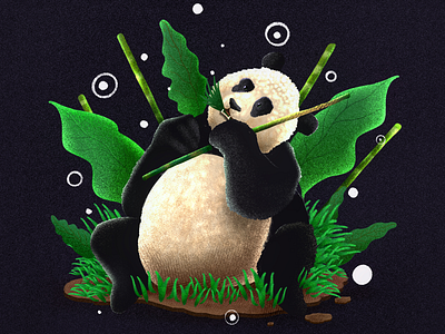 Chow time panda style art design illustration panda procreate