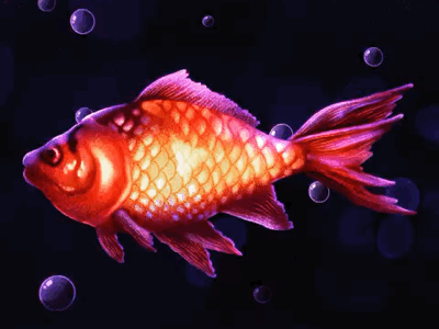 Fishy is alive! aftereffects animation art fish illustration