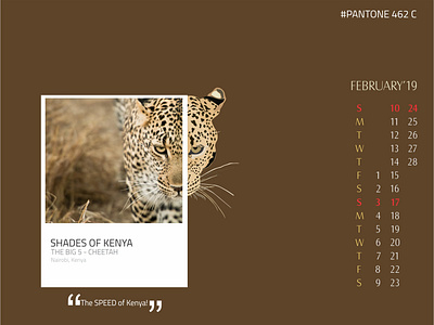 Shades of Kenya - The big 5