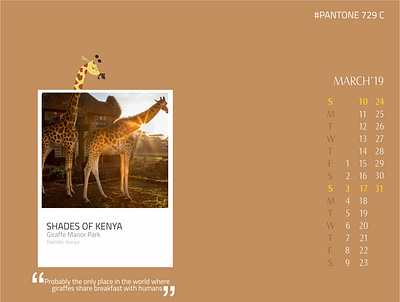 Shades of Kenya - Giraffe Manor Park design designer discover graphicdesign illustration illustration art illustrator kenya