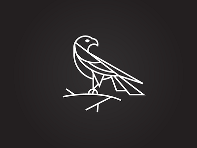 Fieldtrip Falcon animal art bird bw design falcon fieldtrip graphic illustration line simple