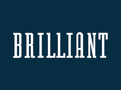 Brilliant Type brilliant custom type letterform serif slab serif type face