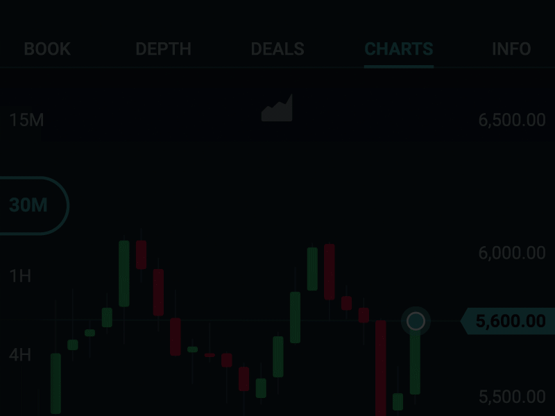 Lottie animations for Trading App