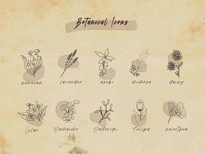 Daily UI #055_Iconset antique botanical dailyui design flower illustraion uidesign web