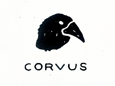 Corvus abandoned beak bird branding corvus crow illustration ink logo pen sketch