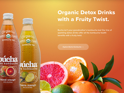 New Age Beverages — Búcha Kombucha beverage bright colorful fruit fruity gradient kombucha orange tea