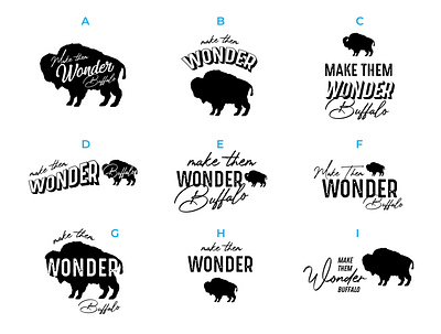 Wonder Buffalo bison branding buffalo buffalo ny design illustration lockups logo type typography wonder