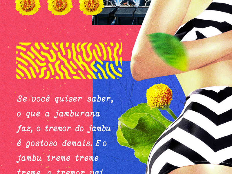 Jamburana Poster #3 Details poster colorful brasil brazil jambu collages collage art collageart collage branding design