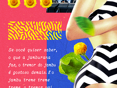 Jamburana Poster #3 Details branding brasil brazil collage collage art collageart collages colorful design jambu poster
