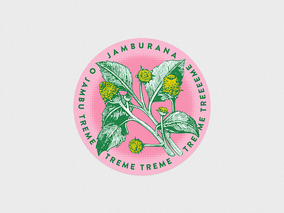 Sticker Jamurana badge circle design ellipse illustration jambu label plant sticker