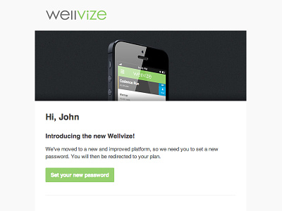 Wellvize Set Password Email email