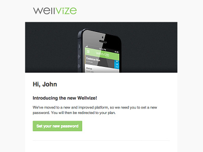 Wellvize Set Password Email