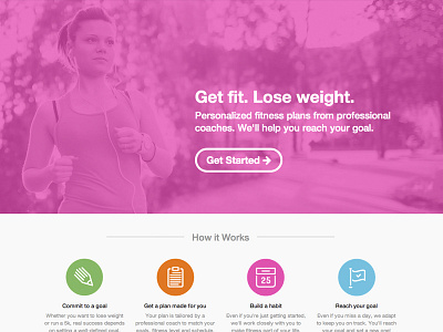 Wellvize Landing Page V4