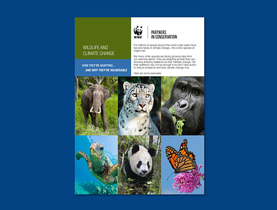 Insert (Tear and Share Cards) for WWF Direct Mailer graphic design indesign non profit photoshop print