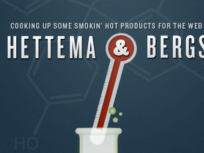 Hettema & Bergsten Website Header