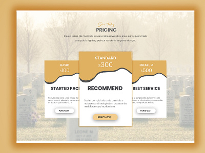 pricing section design web ui design website design