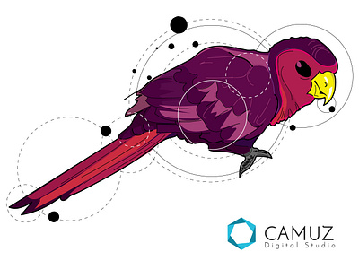 Red Bird design illustration tattoo design vector