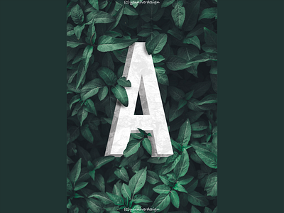A alphabet branding design graphic design illustration procreate unsplash