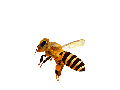 wasp animal graphic design inkscape low poly lowpoly lowpolyart lowpolygon polygon wasp wild animal