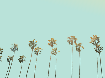 California america blue blue sky california design illustration inkscape nature palm palm trees sky tree vector