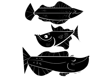 Fish Designs animal character character design character study digital fish fishes illustration