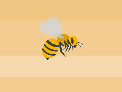 Honey bee bee conservation endangered honeybee insect nature species wildlife
