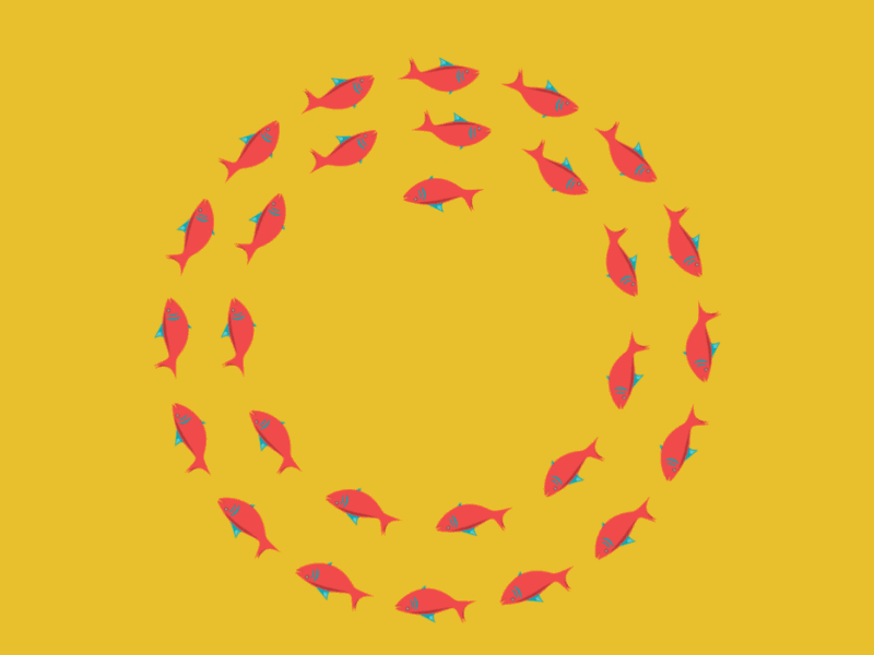 Go Your Own Way animation fish shoal swim