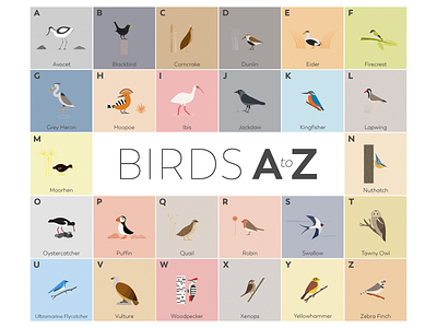 Birds A-Z a z birds minimal nature vector wildlife
