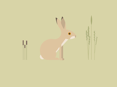 Brown Hare childrens illustration conservation endangered hare kids illustration minimal nature vector wildlife