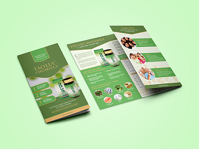Leaflet Design algae chlorella design editorial green health herb leaflet natural print vietnamese yellow