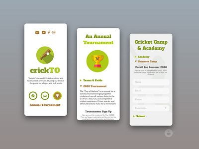 Cricket Academy Web App Wireframe