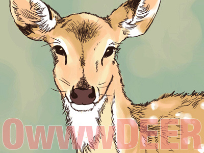 OwwwDeer animal deer digital illustration paint