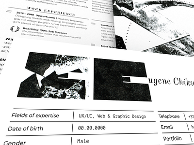 Personal Resume Highlights cv graphic deisgn print design resume