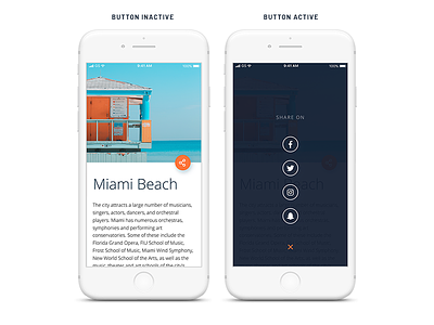 Daily UI Day 010