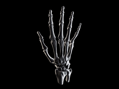 F U 3d animation bones c4d cinema4d motion design motiongraphics redshift rigging scanning skeleton