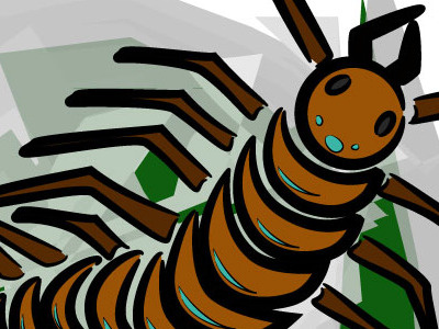 Centipede Illustration bug centipede illustration sketch