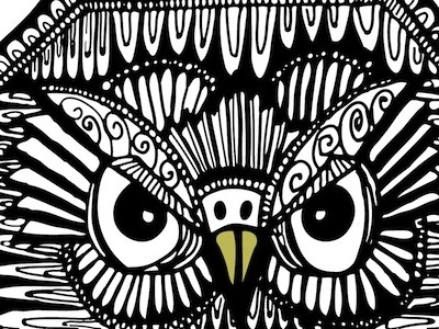 Owl bird illustration