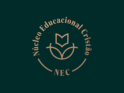 Christian Elementary School: Non-approved branding flat illustration icon design logo logo design logotype mark symbol vector