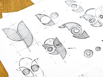 Owl Development Sketches branding concept design illustration sketch