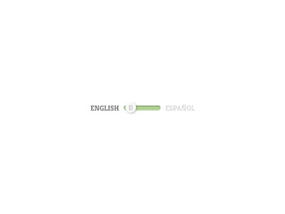 Language Toggle design interface ui web design