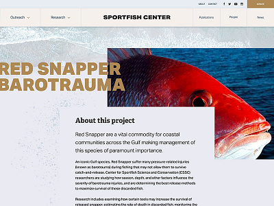 Red Snapper concept design header interface layout mockup navigation page typography ui ux web design